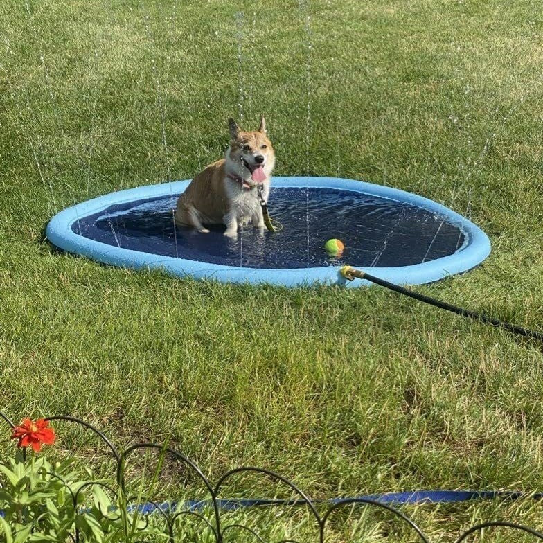 Round PVC Pet Water Spray Mat